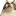 わみ