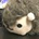 うにまくら