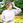yoshizumi_novelty