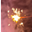 miyazato3