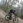 ddmtbb