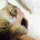 tamao_