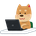 ymbc_dev