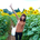 Natsuko_Matsui