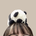nao_takechi