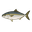 BURI