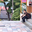 KengoMasuyama