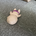 mira73