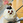 haru_kuma