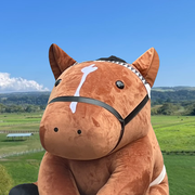 ノブ
