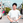 hiro_web