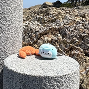 たっつん