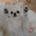 SecurityPome