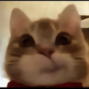 ゆーびっく