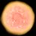LalaBee_ver10