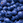 bluegold