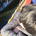 tamaki