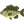 せいや