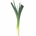 negiandleek