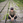 yamac_tech
