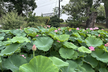 関連のモデリング