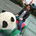 tamoto_ryuichiro