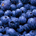 bluegold