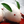 yukiusagi2052