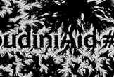 HoudiniAid #03