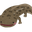 michi