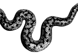 【IT未経験者向け】Python応用講座①Django導入（9月13日）