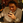 chuji_muramatsu
