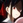lisblanc_umi