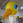 mininobu