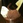 mac_cho