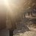 tomoya