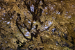 設計ナイト 2026 【オフライン開催】