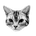 arisanojima