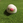 ico1414