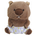 kengo_ayata