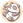 yunicoder