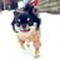 natsumi_smile