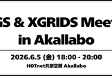 3DGS & XGRIDS Meetup in Akallabo