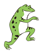 YN