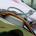 iwest40081