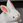 ゆき