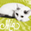 taitai_cute2010