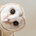めんちゃん