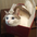 hitoshi_yamazaki_336