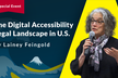 The Digital Accessibility Legal Landscape in U.S.
